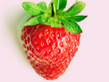 Erdbeere - ein Hochgenuß in fast allen Liebesspeisen.